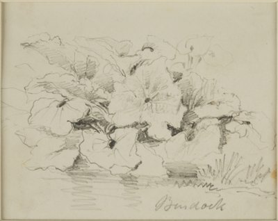 Nature Study - Burdock by John Wilson Carmichael